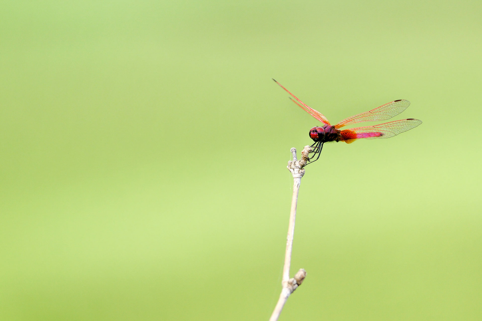 20101020 161648 Wanderung im Norden von Vang Vieng